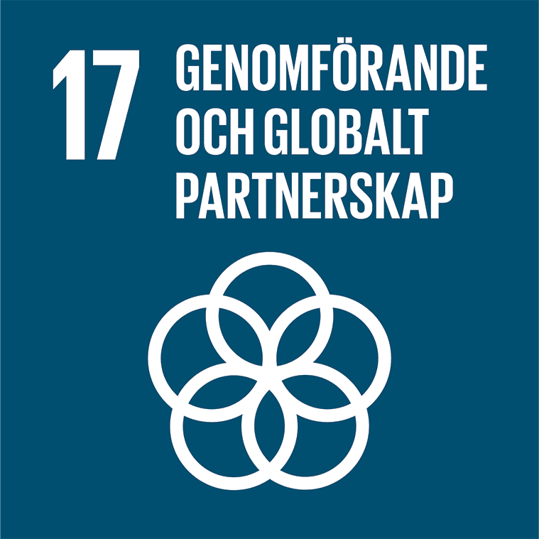 mal 17 genomforande globalt partnerskap