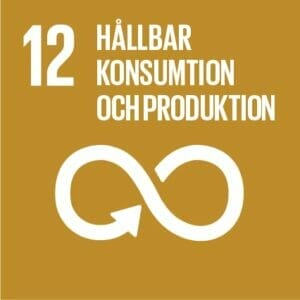 12 hallbar konsumtion och produktion logo