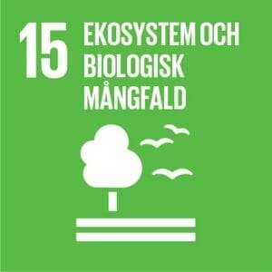 15 ekosystem logo